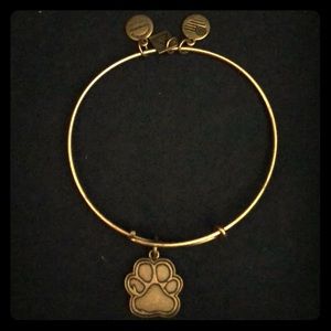 Alex & Ani Bracelet